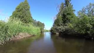 The Sturgeon River Cheboygan Country Michigan [upl. by Llyrpa]