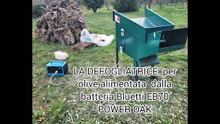 DEFOGLIATORE di olive alimentato da batteria grande POWER OAK EB70 LIfepo4 sicuraiscrivetevi [upl. by Keithley991]