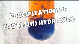 Precipitation Of CobaltII Hydroxide [upl. by Olleina]