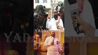 Baahubali Dunna Laddu Yadav in Skanda Movie  స్కంద మూవీ లో బాహుబలి దున్న లడ్డు యాదవ్  sadar [upl. by Ciprian]