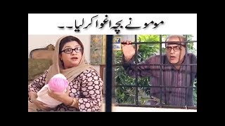 Momo Ne Baccha Aghwa Karliya  Mehmood Sahab  Bulbulay [upl. by Trepur]