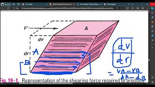 Physical pharmacyRheology viscosity and fluidity [upl. by Afital691]