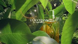 Holiday 2020  LOccitane [upl. by Ilenna]