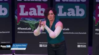 FameLab UK Final 2017  Dr Kathryn Feller Cambridge [upl. by Onaivatco441]