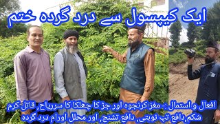 karanjwa khane ke fayde  karanjwa seed  کرنجوہ کی پہچان  کرنجوا [upl. by Ahrat]