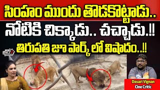 Lion Attack At Tirupati Zoo Park  Lion Attack Incident In AP  AP Latest News  Wild Wolf Telugu [upl. by Gross]