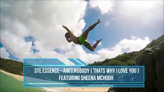 Ste Essence  Aint Nobody Thats Why I love you ft Sheena McHugh radio edit [upl. by Rosenquist209]