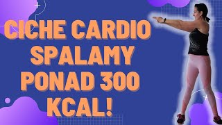 Ciche cardio dla początkujących na stojąco Bez maty bez skakania bez tupania Palimy 300 kcal [upl. by Hurty]