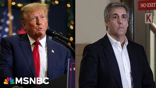 ‘I’m afraid’ Michael Cohen’s warning to the American people if Donald Trump goes to jail [upl. by Barram867]