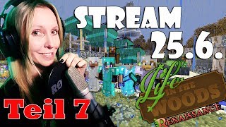 LIFE IN THE WOODS Minecraft  Stream vom 25617 Das Schloß 7 Facecam deutsch [upl. by Aicened]