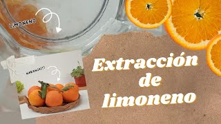 EXTRACCION DE LIMONENO Proyecto de ciencias 5° de secundaria [upl. by Erina413]