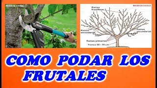 Podar Árboles Frutales  Todo Huerta y Jardín [upl. by Anwahsed]