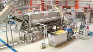 Citrus juice and oil extraction [upl. by Amary]