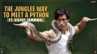 Junglee  How to Catch Crabs  Vidyut Jammwal  29th March [upl. by Rebekkah]