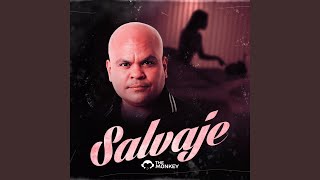 Salvaje [upl. by Beasley]