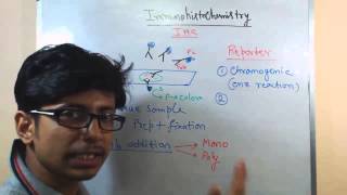 Immunohistochemistry lecture principle and process [upl. by Asirrak]