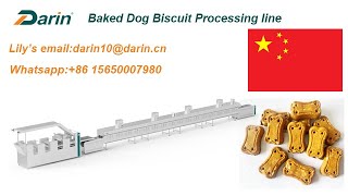 Why feed dog Baked Dog Biscuit and how to make the Baked Dog Biscuit using biscuit machine LILY LIU [upl. by Koser]