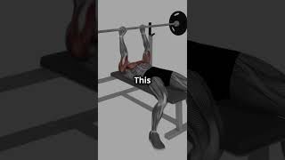 Master the Perfect Bench Press Form How to Bench press [upl. by Holmun]