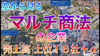 【ネズミ講にご注意！】知らなきゃヤバい！空から見るマルチ商法の企業 最強18社 連鎖販売取引ネットワークビジネスMLM 売上ランキング上位１６社＋α [upl. by Ashlan]