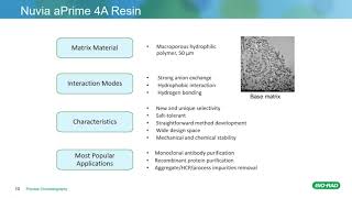 AAV Purification Using AEX and MixedMode Chromatography [upl. by Temirf]