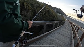 Surf Fishing in the Bay Area  How To [upl. by Trant]