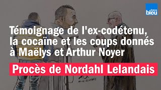 Procès de Nordahl Lelandais  témoignage de son excodétenu sur la cocaïne et les coups donnés [upl. by Nolham]