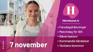 Härnösandtv  7 november 2024 [upl. by Middle697]