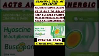 The Best Medicine for Stomach Pain shorts medicine pharmacy [upl. by Adnohral319]