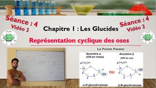 Séance 4  Vidéo 2  cyclisation des aldoses  formation de furanoses [upl. by Alemaj909]