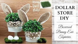 Dollar Store DIY  Boxwood Bunny Ear Topiaries  Easter amp Spring Rustic Home Decor [upl. by Rosalba]