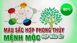 Mệnh Mộc hợp màu gì  Mệnh Mộc Kỵ màu gì  Màu sắc phong thủy  Trong thiết kế và cuộc sống [upl. by Alys270]