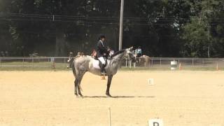 Gloucester County 4H Fair July 23 2015 [upl. by Amliw188]