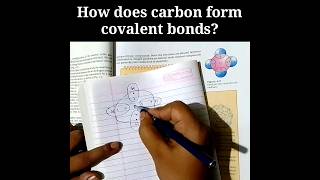 Covalent bonds  Carbon and its Compounds  Class10 [upl. by Rusert885]