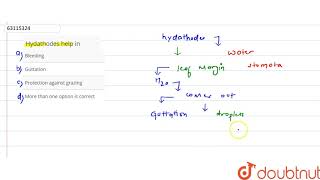 Hydathodes help in [upl. by Modeerf]