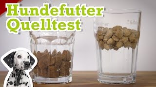 Hundefutter Quelltest mit Platinum Trockenfutter [upl. by Retnyw]