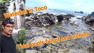 Roadtrip to Matelot waterfall tidal poolsepic shores pt1 [upl. by Eiuqcaj]