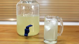 How to Make Lemonade  Easy Amazing Lemonade Recipe [upl. by Wandis]