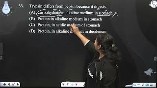 Trypsin differs from pepsin because it digests [upl. by Aronael]