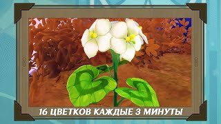 Легкий фарм цветков Цинсинь 16 цветков каждые 3 минуты  Genshin Impact Гайд [upl. by Lyred]