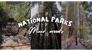 Muir Woods National Park [upl. by Brady]