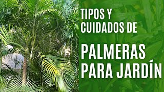 9 tipos de PALMERAS de jardín y sus cuidados [upl. by Liddy]