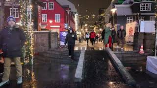 Reykjavik Winter Walking Tour Journey Through Icelands Capital [upl. by Cerracchio]