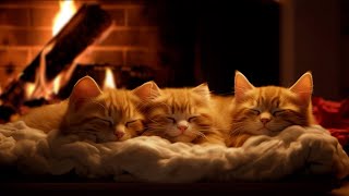 Fall asleep to Family Cats Purr amp Warm Fireplace 🔥 Relax in Cozy Winter Hut Deep Sleep [upl. by Monarski]