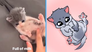 The CUTIEST Cat Videos of 2024 🤣 BEST Compilation [upl. by Annatsirhc899]