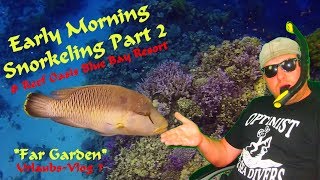 SNORKELING EGYPT PART 2  Reef Oasis Blue Bay Resort 2017 GoPro Hero 4 [upl. by Petracca]