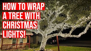 How to wrap a tree with Christmas lights [upl. by Dyan]