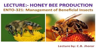 ENTO 321 Lecture 5 Bee Pasturage Foraging Communication and Seasonal management [upl. by Fahy957]