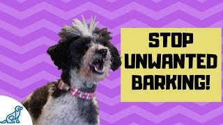 How To Teach Your Dog To Be Quiet By Barking On Command [upl. by Encratis]