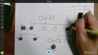 Genotypes and pedigrees [upl. by Bradford]