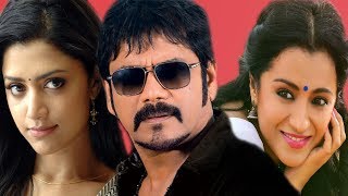 Nagarjuna Tamil Full Hd Movie  Nagarjuna AkkineniTrishaMamta Mohandas  Tamil Full action movie [upl. by Hamforrd]